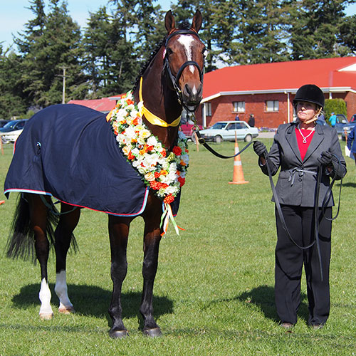 MAGNUS-2014-SHOW MAGNUS-2014-SHOW
