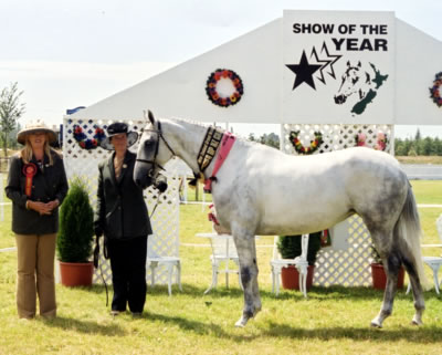 silversong-03hoy2 silversong-03hoy2